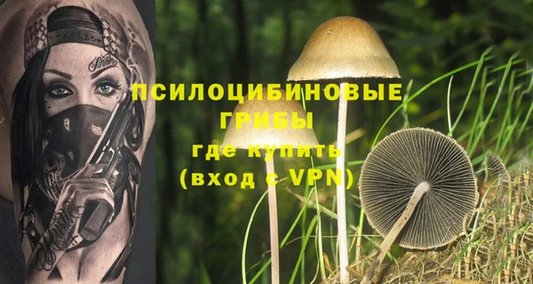 ПСИЛОЦИБИНОВЫЕ ГРИБЫ Новокубанск