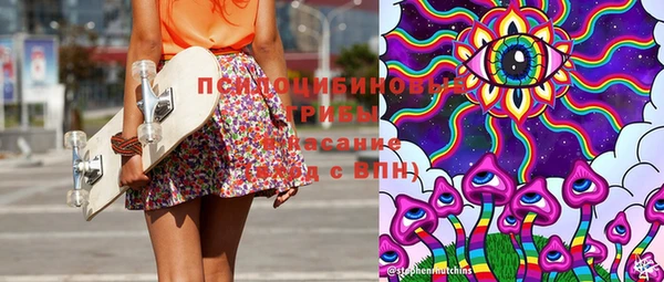 ПСИЛОЦИБИНОВЫЕ ГРИБЫ Новокубанск