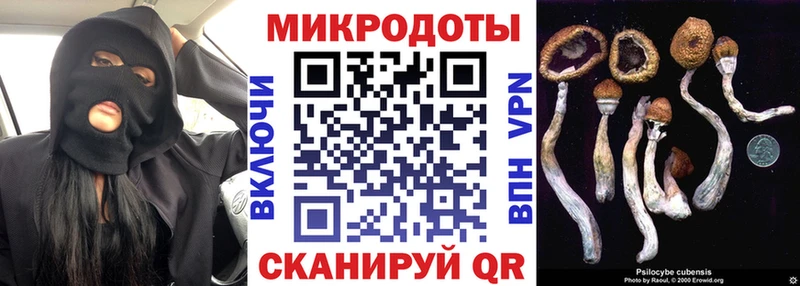 Галлюциногенные грибы мухоморы  Кропоткин 